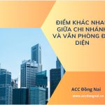 Điểm khác nhau giữa chi nhánh và văn phòng đại diện.jpg