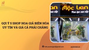 Shop hoa giả Biên Hòa