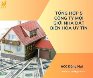 Tổng hợp 5 công ty môi giới nhà đất Biên Hòa uy tín.jpg
