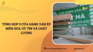 Cửa hàng ván ép Biên Hòa