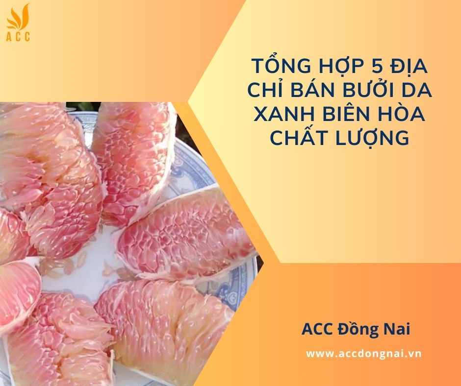 Tổng hợp 5 địa chỉ bán bưởi da xanh Biên Hòa chất lượng