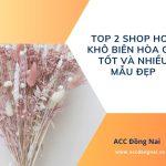Top 2 shop hoa khô Biên Hòa giá tốt và nhiều mẫu đẹp.jpg
