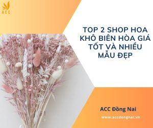 Top 2 shop hoa khô Biên Hòa giá tốt và nhiều mẫu đẹp.jpg