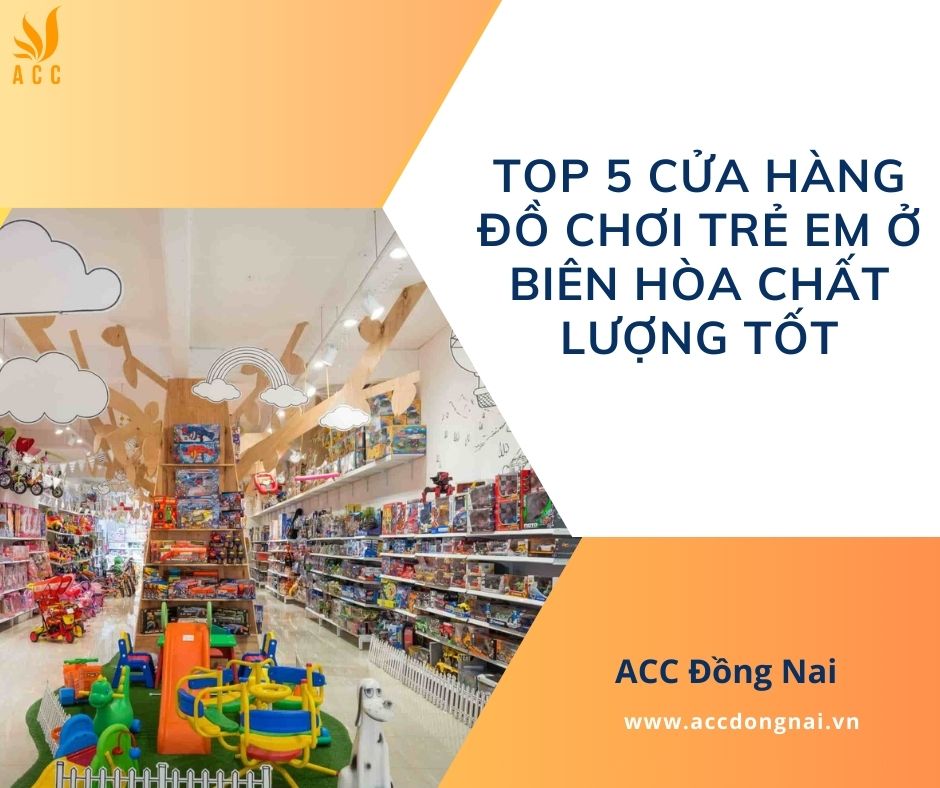 Top 5 cửa hàng đồ chơi trẻ em ở Biên Hòa chất lượng tốt.jpg