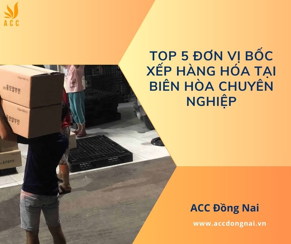 Top 5 đơn vị bốc xếp hàng hóa tại Biên Hòa chuyên nghiệp