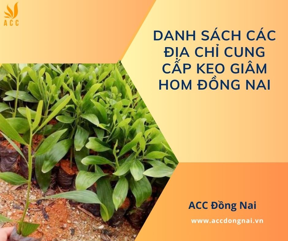 Danh sách các địa chỉ cung cấp keo giâm hom Đồng Nai