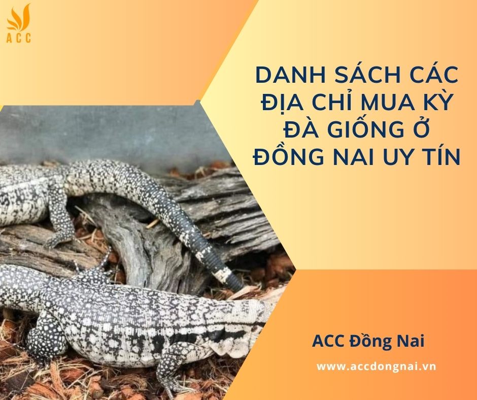 Danh sách các địa chỉ mua kỳ đà giống ở Đồng Nai uy tín