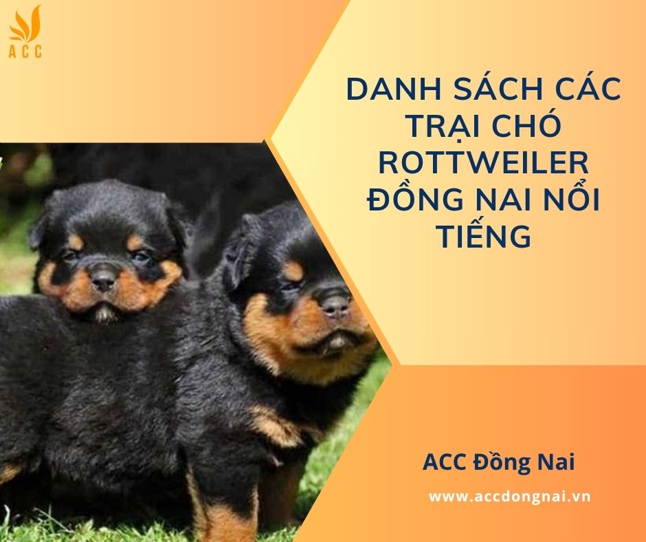 Danh sách các trại chó Rottweiler Đồng Nai nổi tiếng