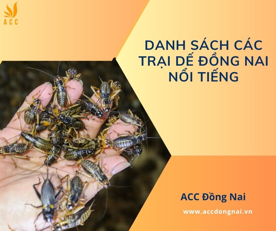 Danh sách các trại dế Đồng Nai nổi tiếng