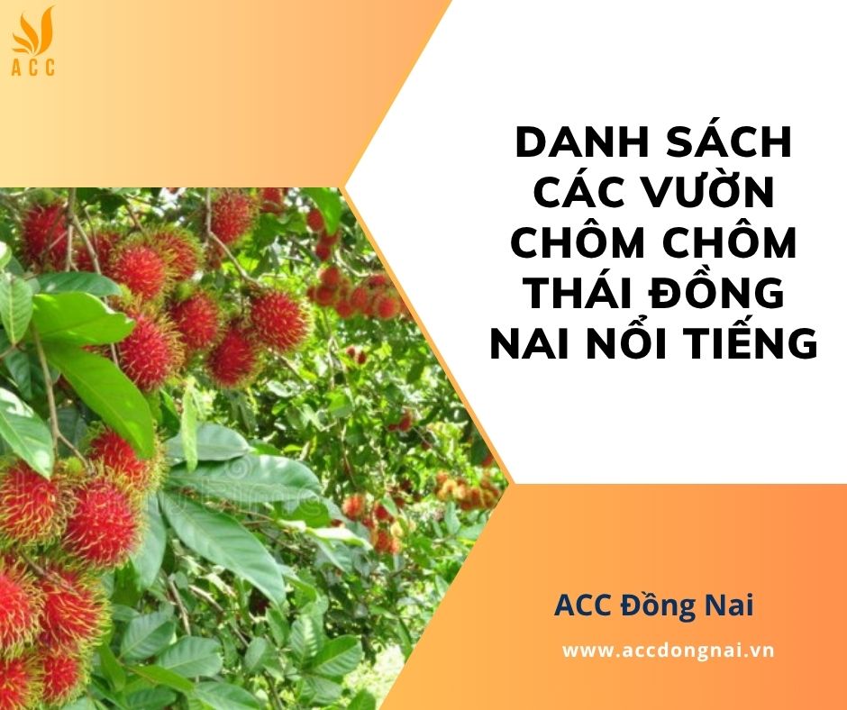 Danh sách các vườn chôm chôm Thái Đồng Nai nổi tiếng