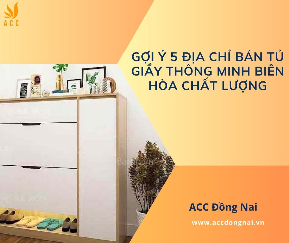 Gợi ý 5 địa chỉ bán tủ giầy thông minh Biên Hòa chất lượng
