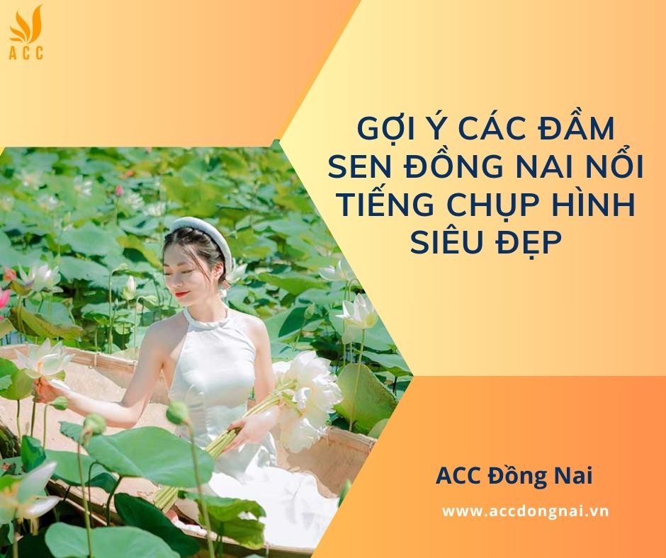 Gợi ý các đầm sen Đồng Nai nổi tiếng chụp hình siêu đẹp