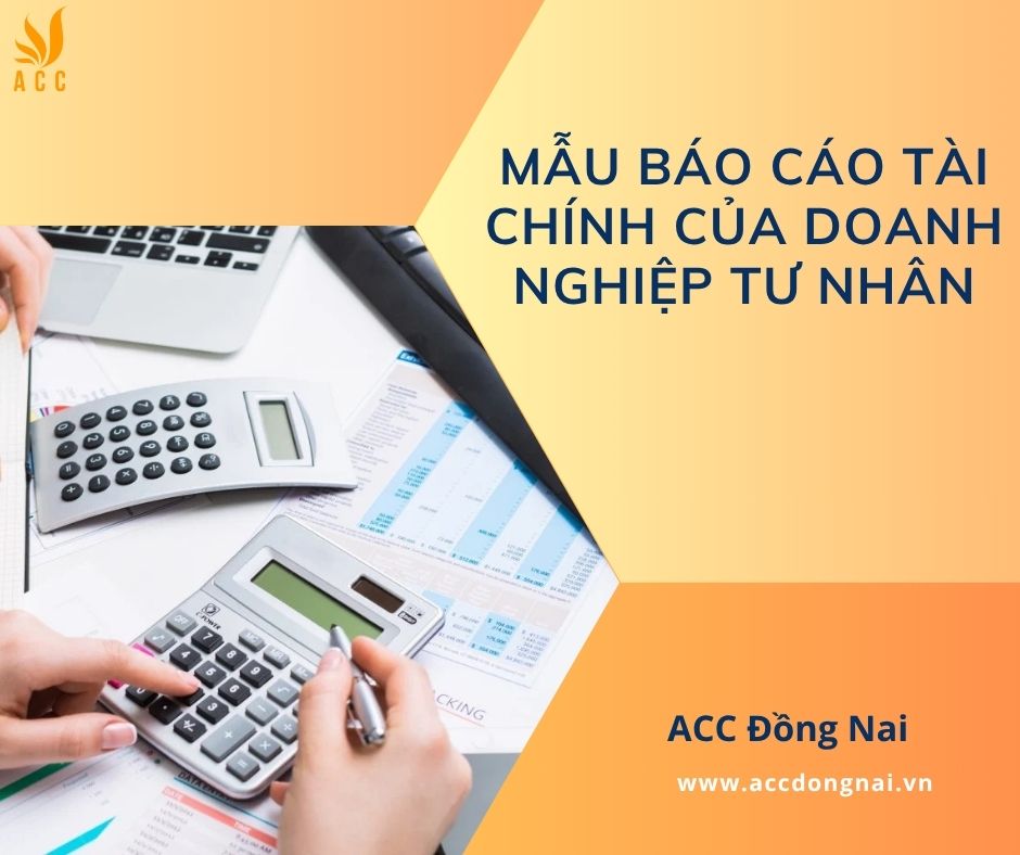 Mẫu báo cáo tài chính của doanh nghiệp tư nhân