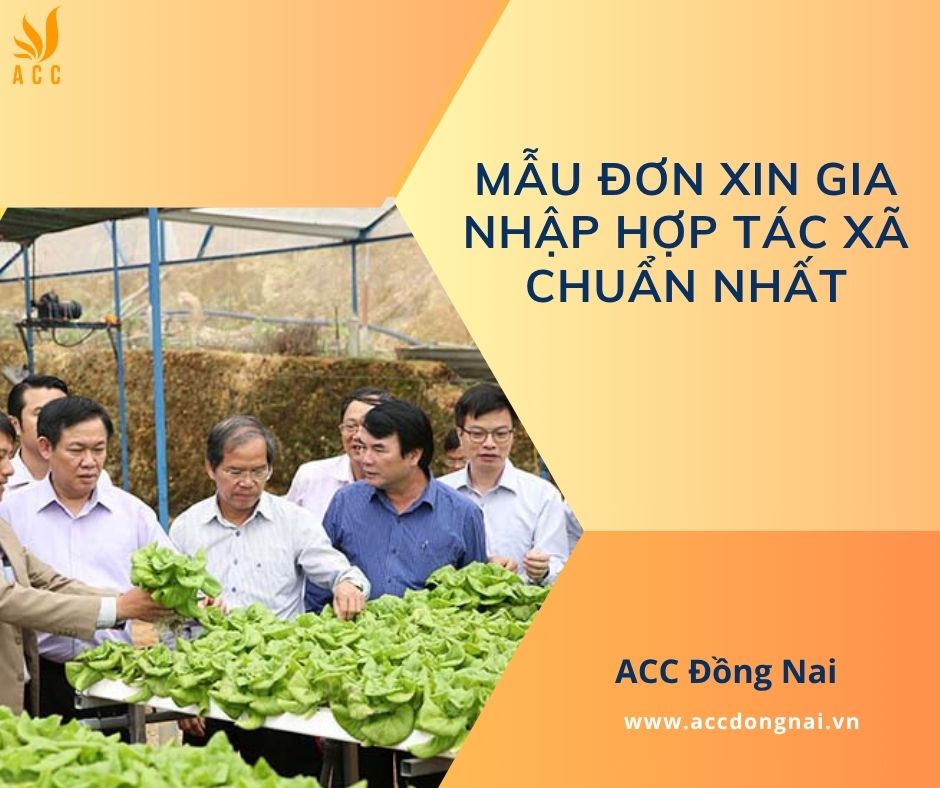 Mẫu đơn xin gia nhập hợp tác xã chuẩn nhất