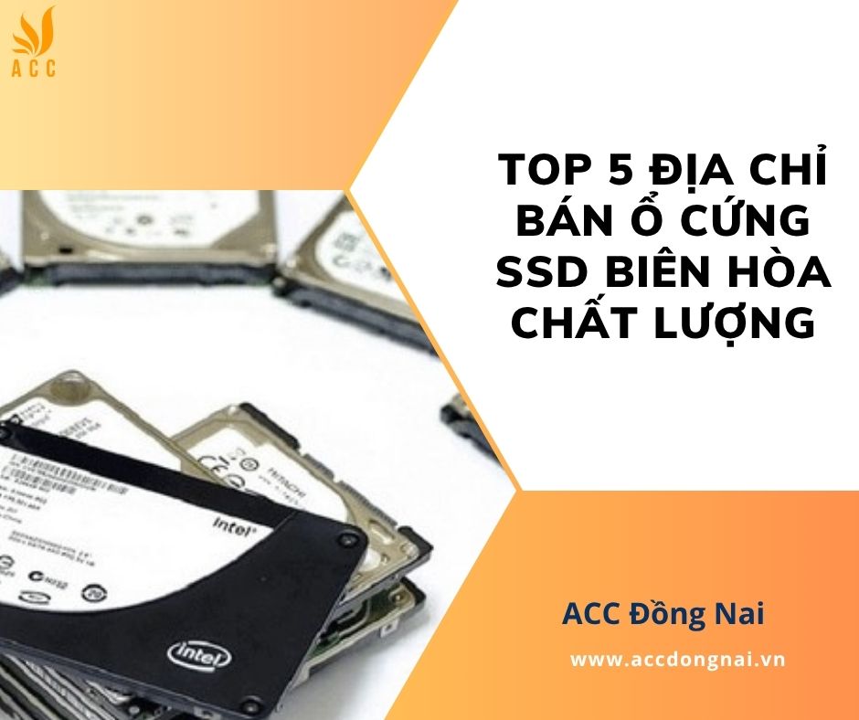 Top 5 địa chỉ bán ổ cứng SSD Biên Hòa chất lượng