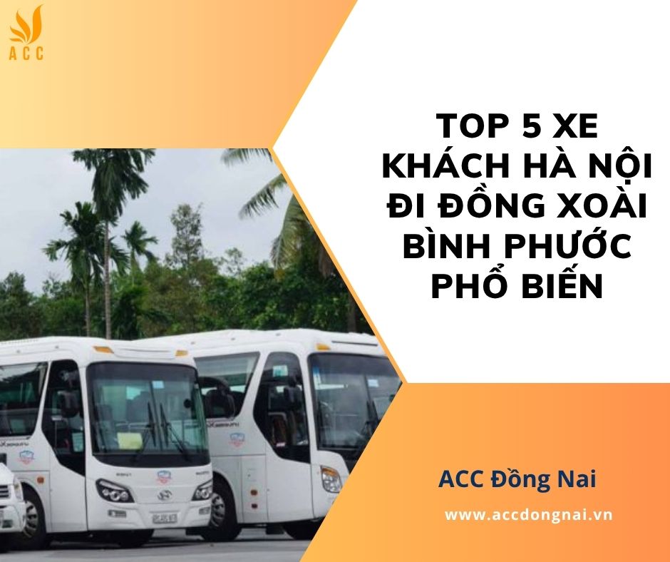 Top 5 xe khách Hà Nội đi Đồng Xoài Bình Phước phổ biến