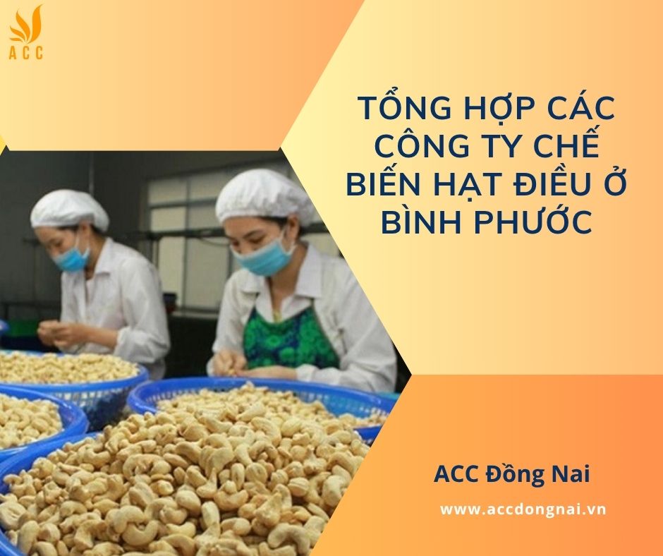 Tổng hợp các công ty chế biến hạt điều ở Bình Phước