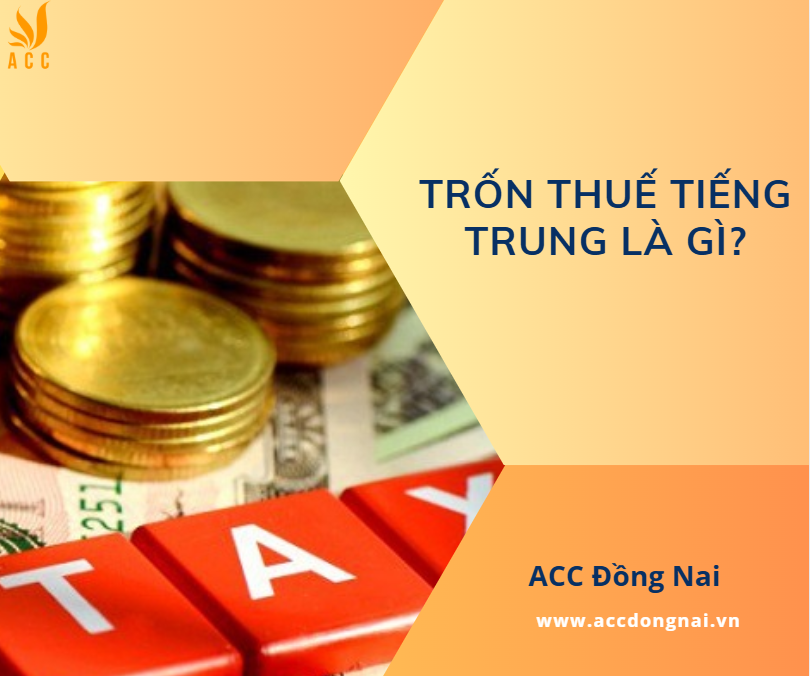 Trốn thuế tiếng Trung là gì?