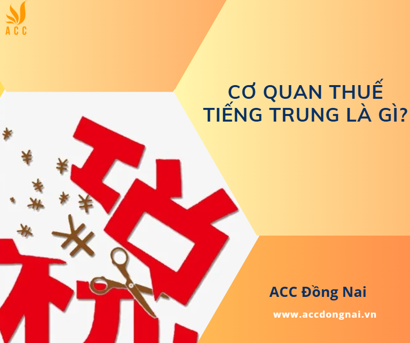 Cơ quan thuế tiếng Trung là gì?
