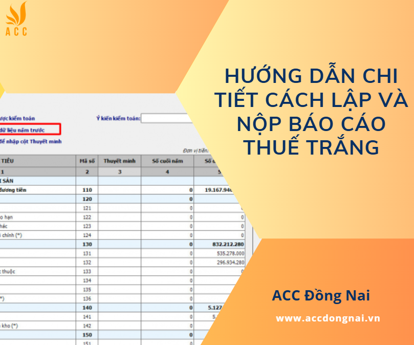 Hướng dẫn chi tiết cách lập và nộp báo cáo thuế trắng