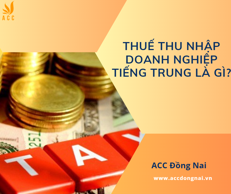 Thuế thu nhập doanh nghiệp tiếng Trung là gì?