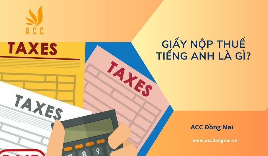 Giấy nộp thuế tiếng Anh là gì?