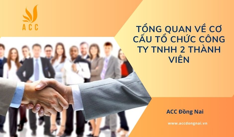 Tổng quan về cơ cấu tổ chức công ty TNHH 2 thành viên
