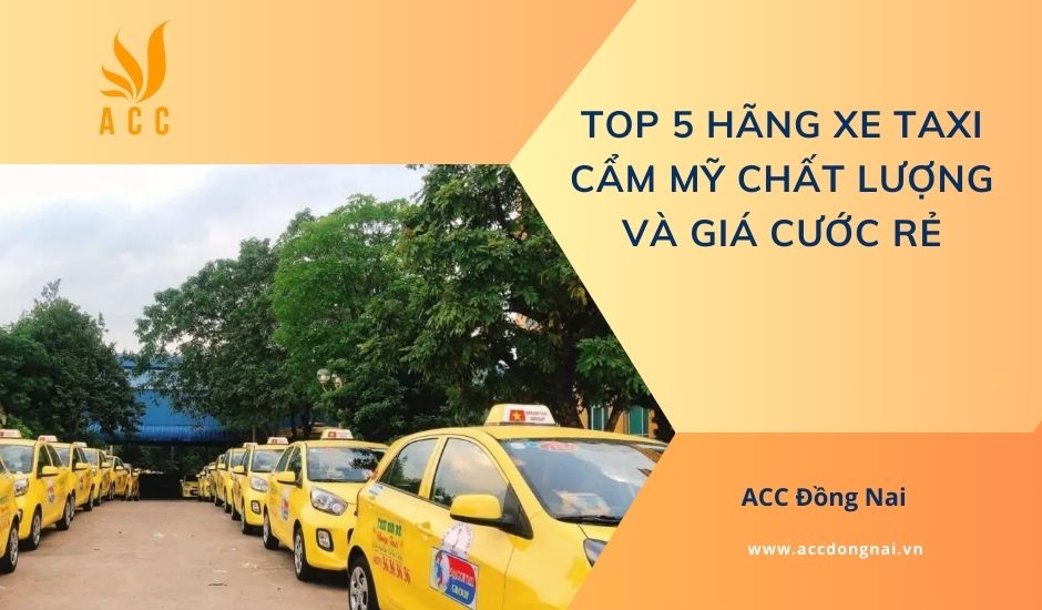 Top 5 hãng xe taxi Cẩm Mỹ chất lượng và giá cước rẻ