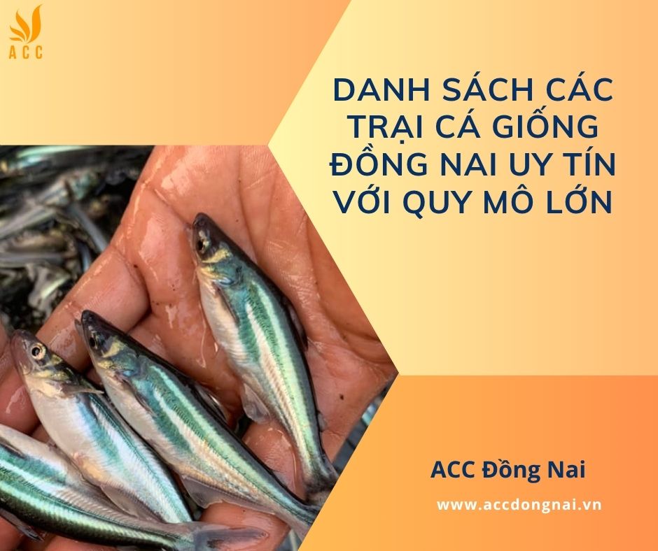 Danh sách các trại cá giống Đồng Nai uy tín với quy mô lớn