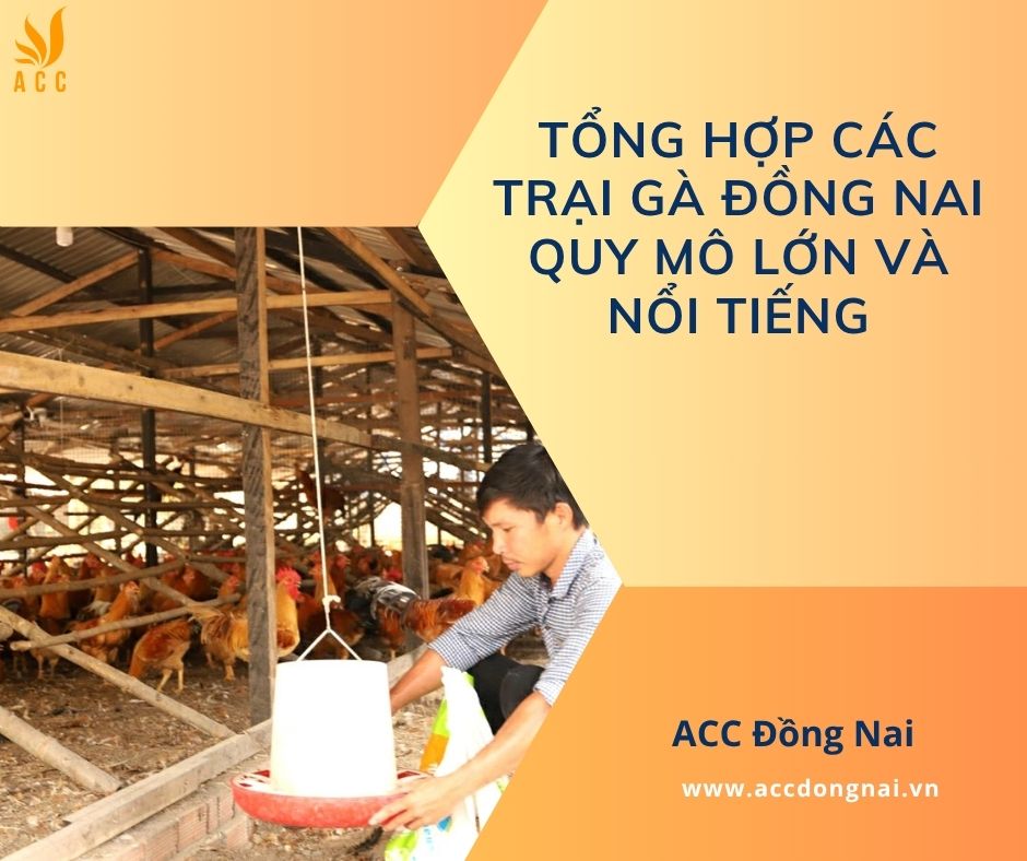 Tổng hợp các trại gà Đồng Nai quy mô lớn và nổi tiếng
