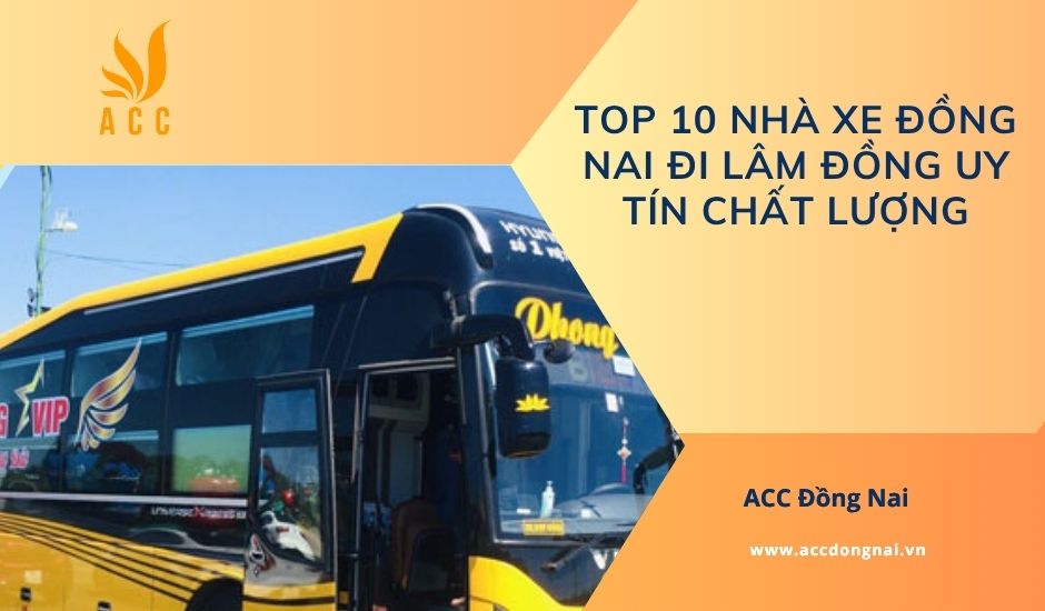 Top 10 nhà xe Đồng Nai đi Lâm Đồng uy tín chất lượng