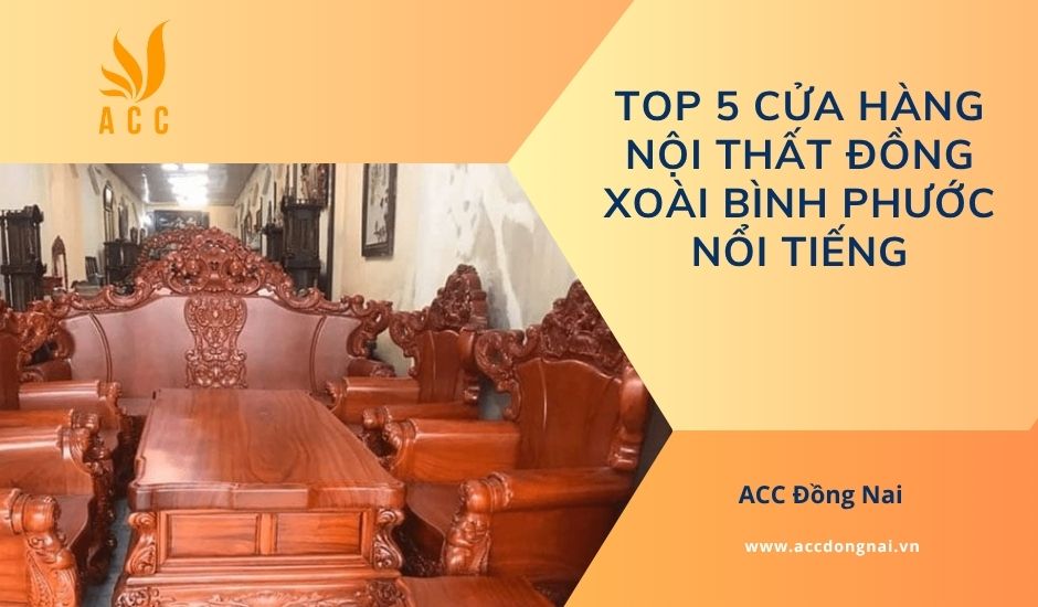 Top 5 cửa hàng nội thất Đồng Xoài Bình Phước nổi tiếng