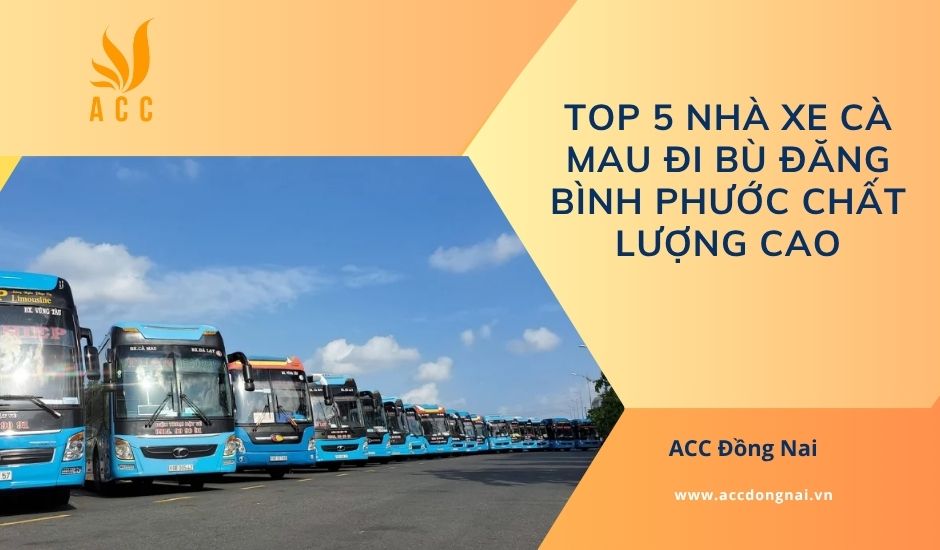Top 5 nhà xe Cà Mau đi Bù Đăng Bình Phước chất lượng cao