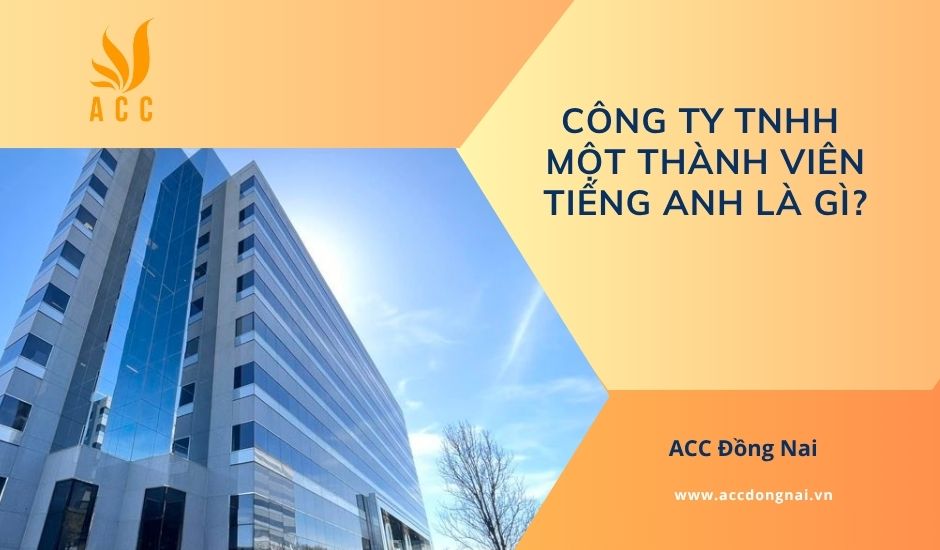 Công ty TNHH một thành viên tiếng Anh là gì?