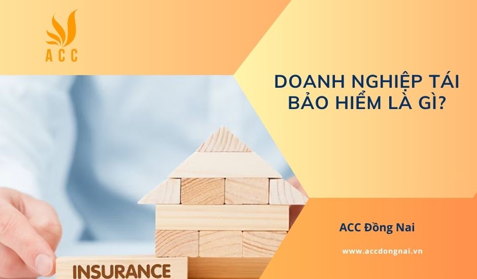 Doanh nghiệp tái bảo hiểm là gì?