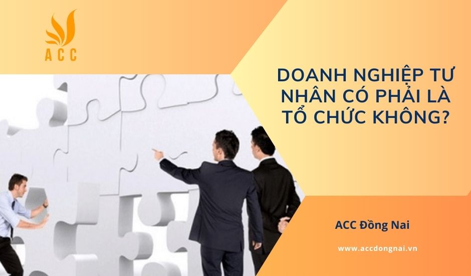 Doanh nghiệp tư nhân có phải là tổ chức không?