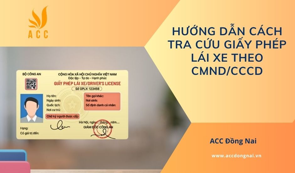 Hướng dẫn cách tra cứu giấy phép lái xe theo CMND/CCCD