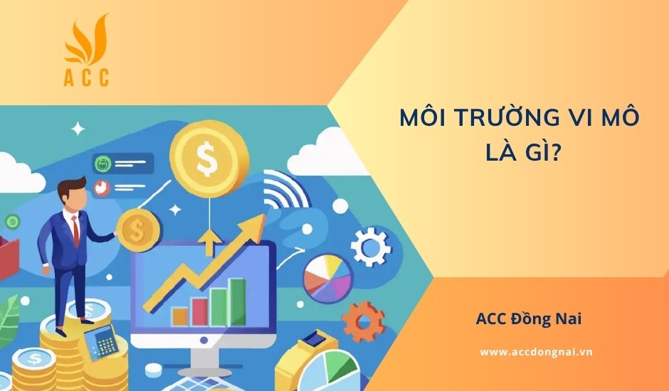 Môi trường vi mô là gì?