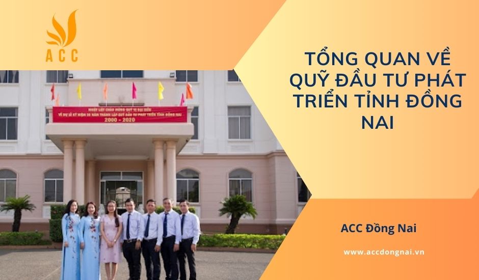 Tổng quan về Quỹ đầu tư phát triển tỉnh Đồng Nai