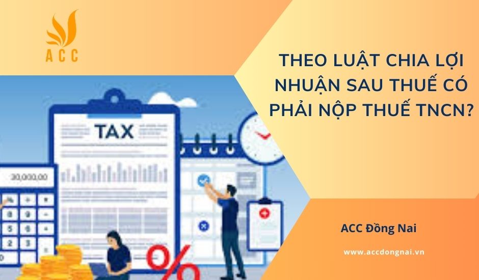 Theo luật chia lợi nhuận sau thuế có phải nộp thuế TNCN?