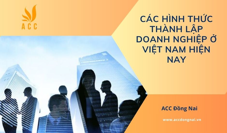 Các hình thức thành lập doanh nghiệp ở Việt Nam hiện nay