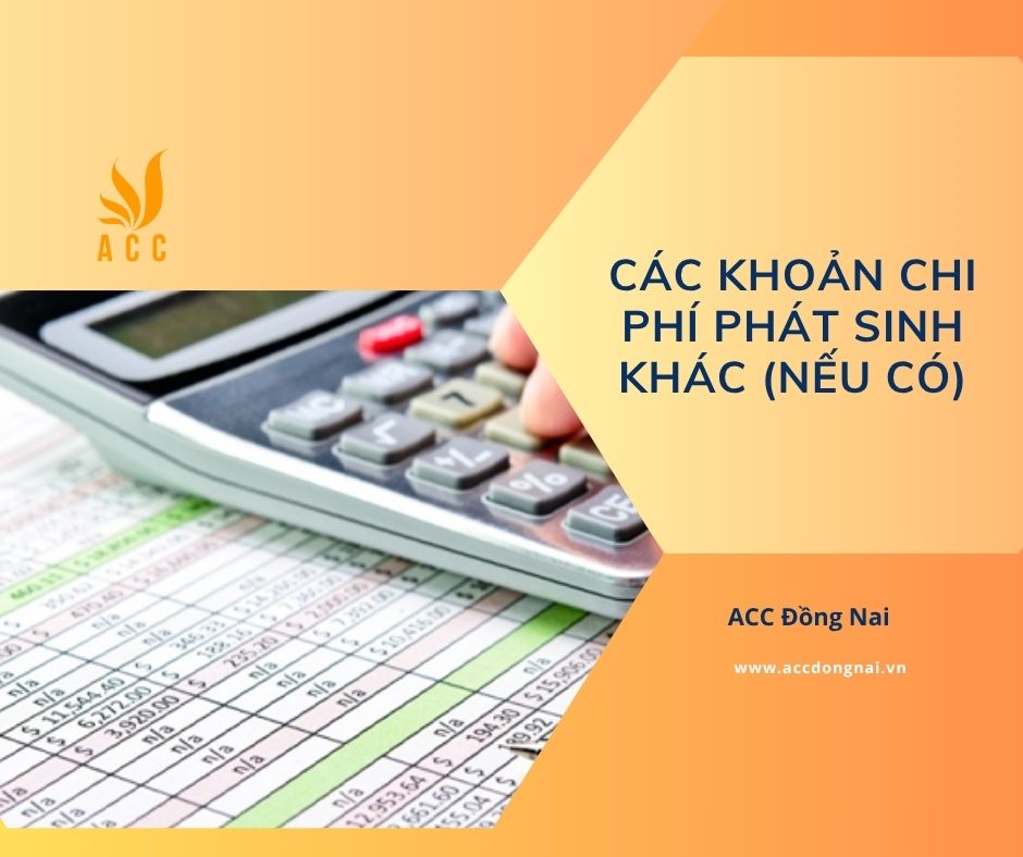 Các khoản chi phí phát sinh khác (nếu có)
