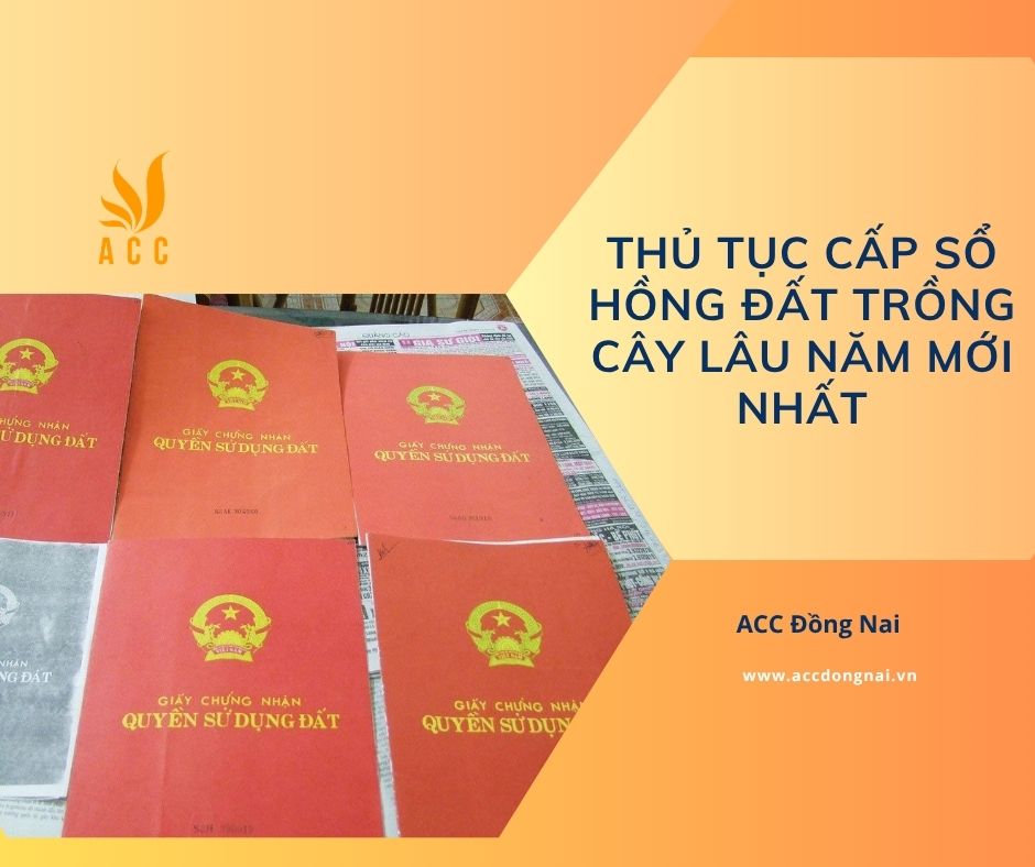 Thủ tục cấp sổ hồng đất trồng cây lâu năm mới nhất