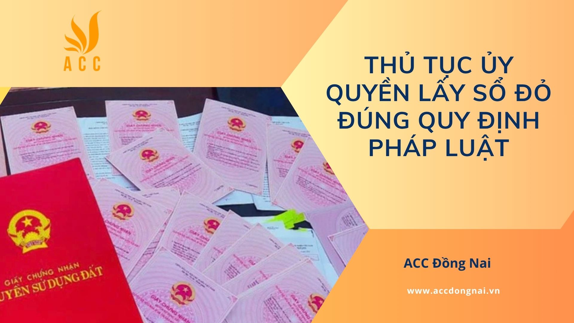 Thủ tục ủy quyền lấy sổ đỏ đúng quy định pháp luật