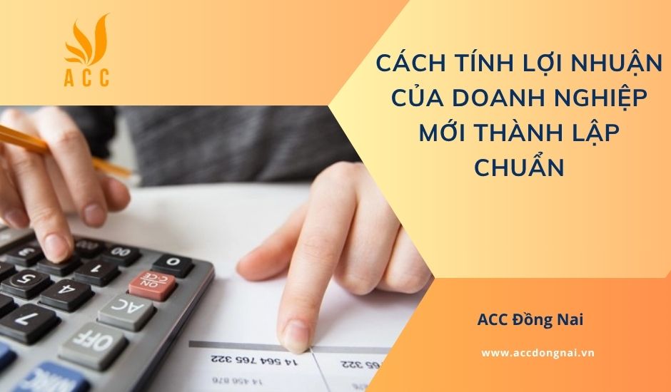 Cách tính lợi nhuận của doanh nghiệp mới thành lập chuẩn