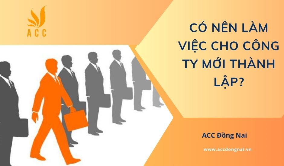 Có nên làm việc cho công ty mới thành lập?