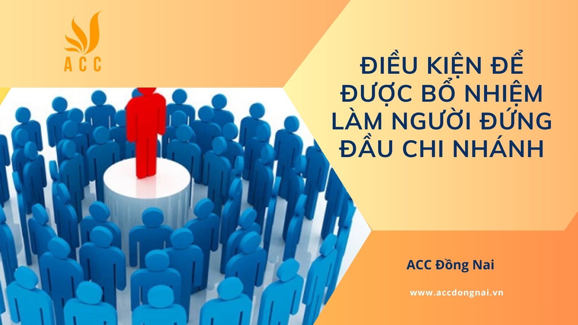 Điều kiện để được bổ nhiệm làm người đứng đầu chi nhánh