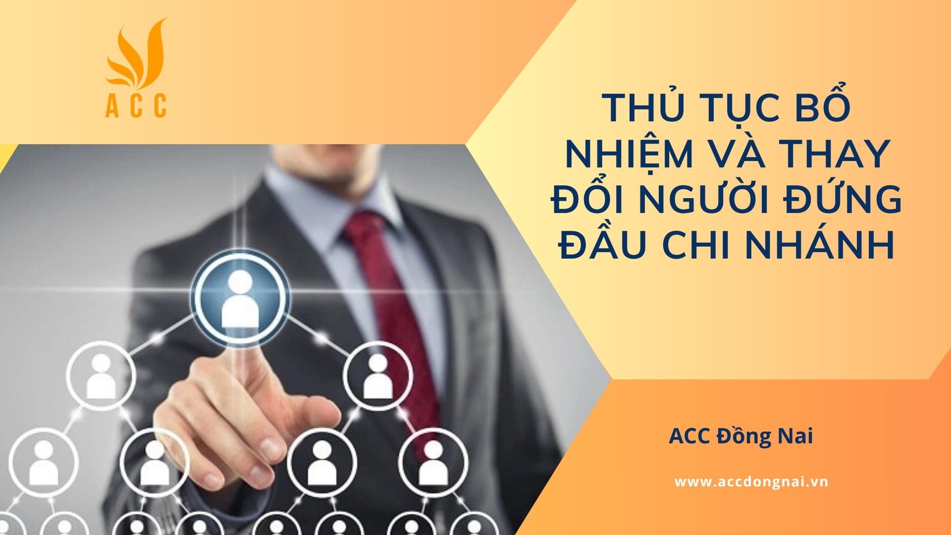 Thủ tục bổ nhiệm và thay đổi người đứng đầu chi nhánh