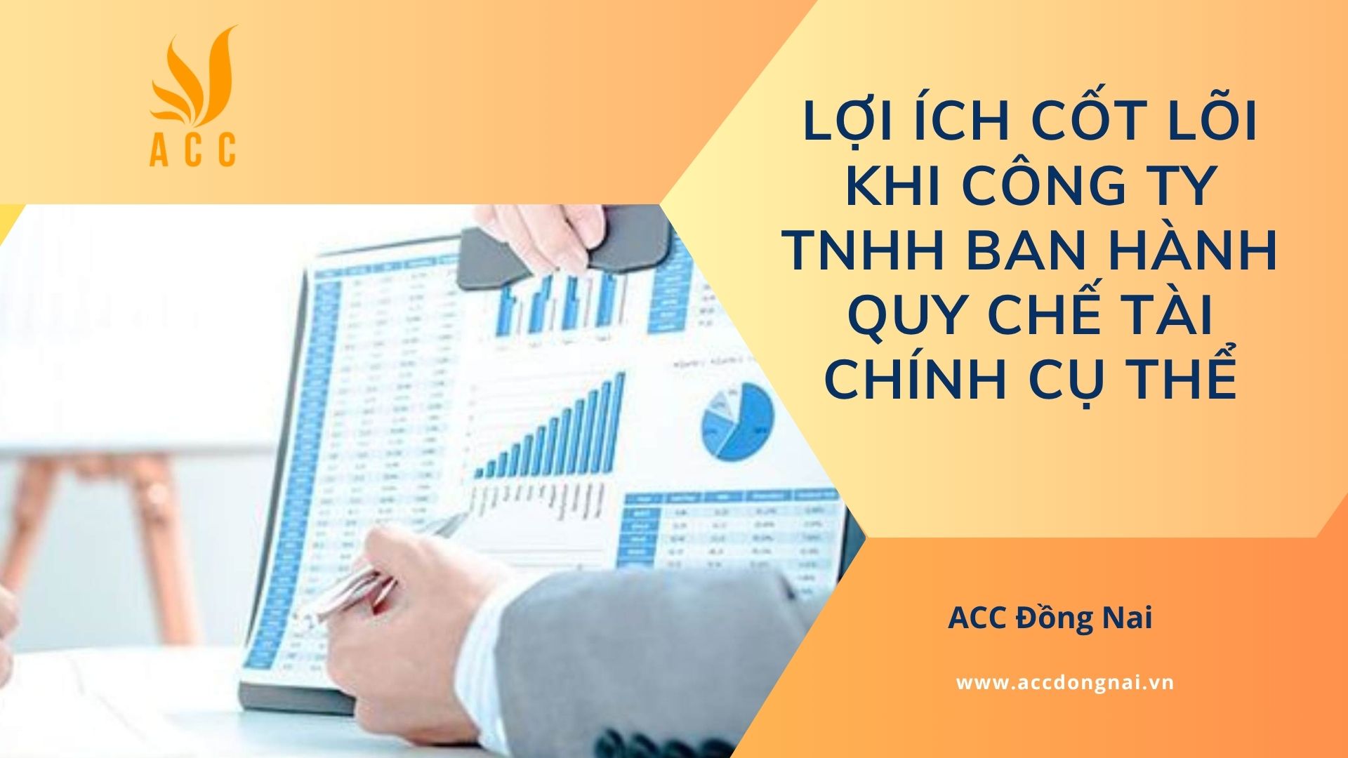 Lợi ích cốt lõi khi công ty TNHH ban hành quy chế tài chính cụ thể