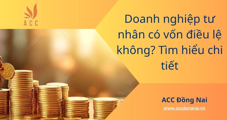 Doanh nghiệp tư nhân có vốn điều lệ không? Tìm hiểu chi tiết